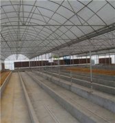 大棚骨架在温室中的应用